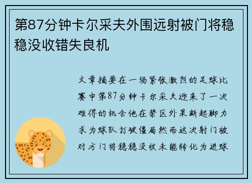 第87分钟卡尔采夫外围远射被门将稳稳没收错失良机 第87分钟卡尔采夫外围远射被门将稳稳没收错失良机